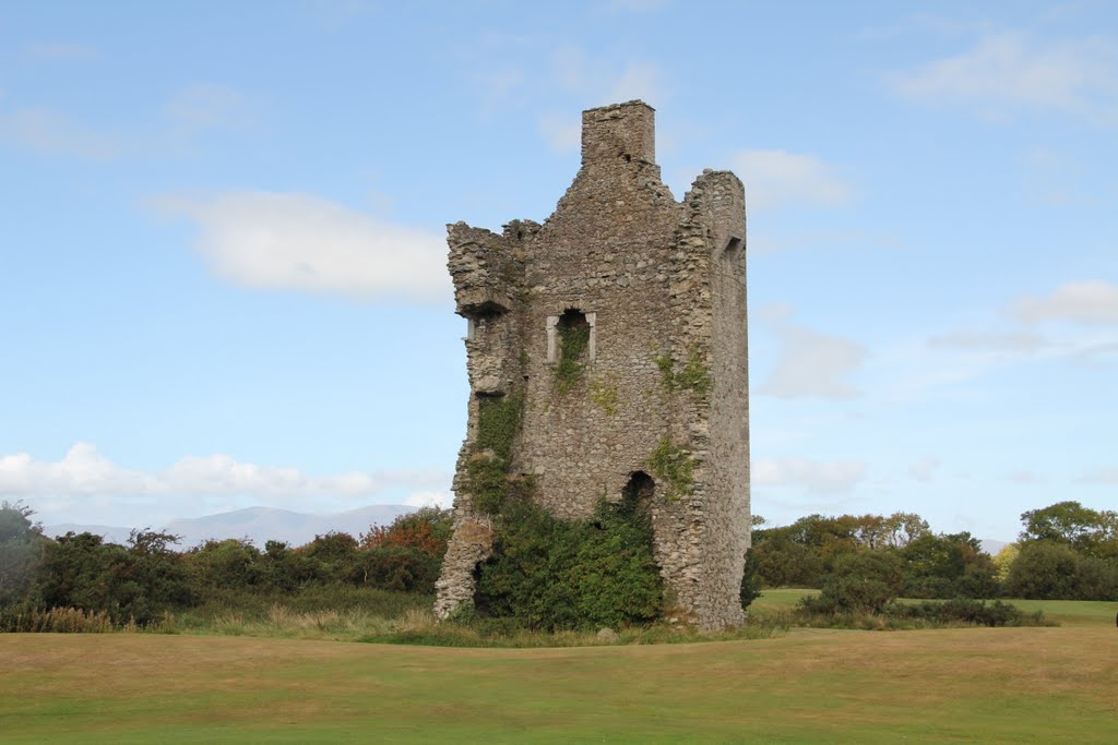 Castle, Dromaloughane, Co. Kerry, Ireland by Tomasz Bukowski