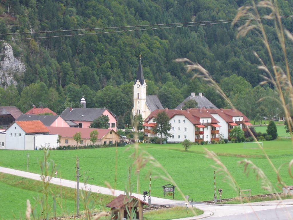 Kirche St. Pankratz (144) by cerambyx