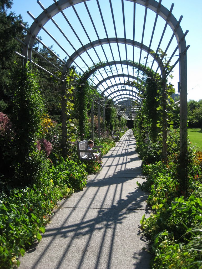 Minneapolis Sculpture Garden by stephatto