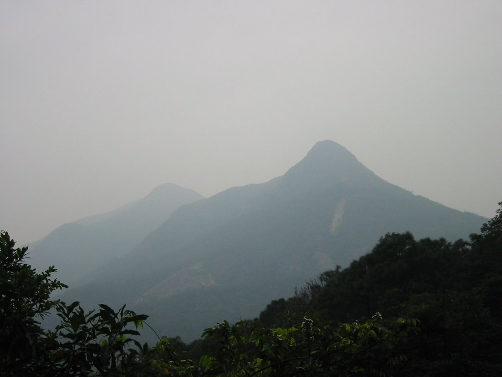 Kwun Yam Shan and Keung Shan view from Lantau Trail Section 4 by ecmkam