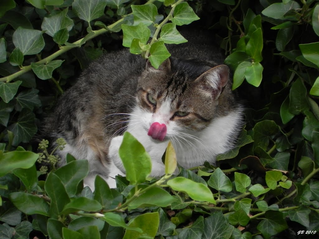 Slurp! by Gabriele Bistoletti