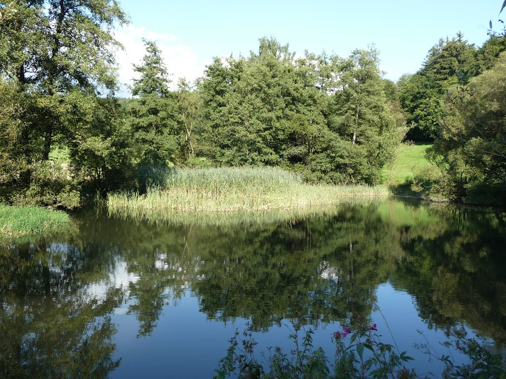 Möhrenreuther Weiher by martin-r