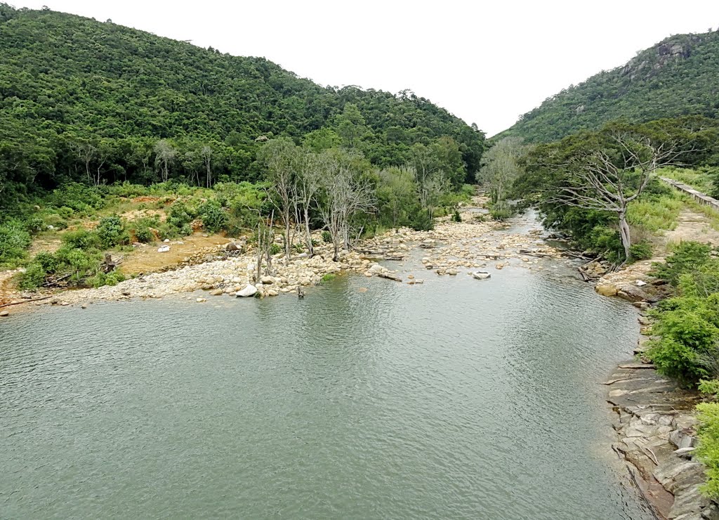 Cạn suối nguồn ... headwater of the stream is gradually drying... by Ngo Minh Truc