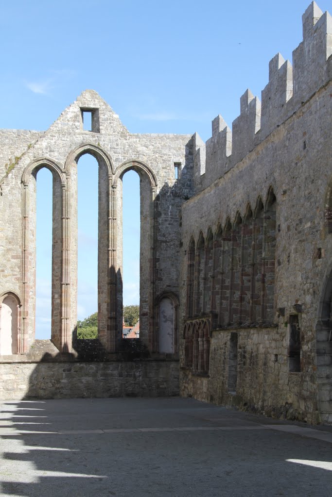 Abbey, Ardfert, Co. Kerry, Ireland by Tomasz Bukowski