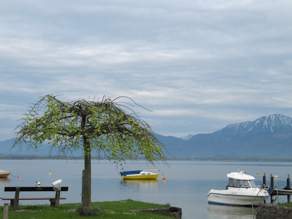 Chiemsee, Fraueninsel by Artemisia (Cinzia Ol…