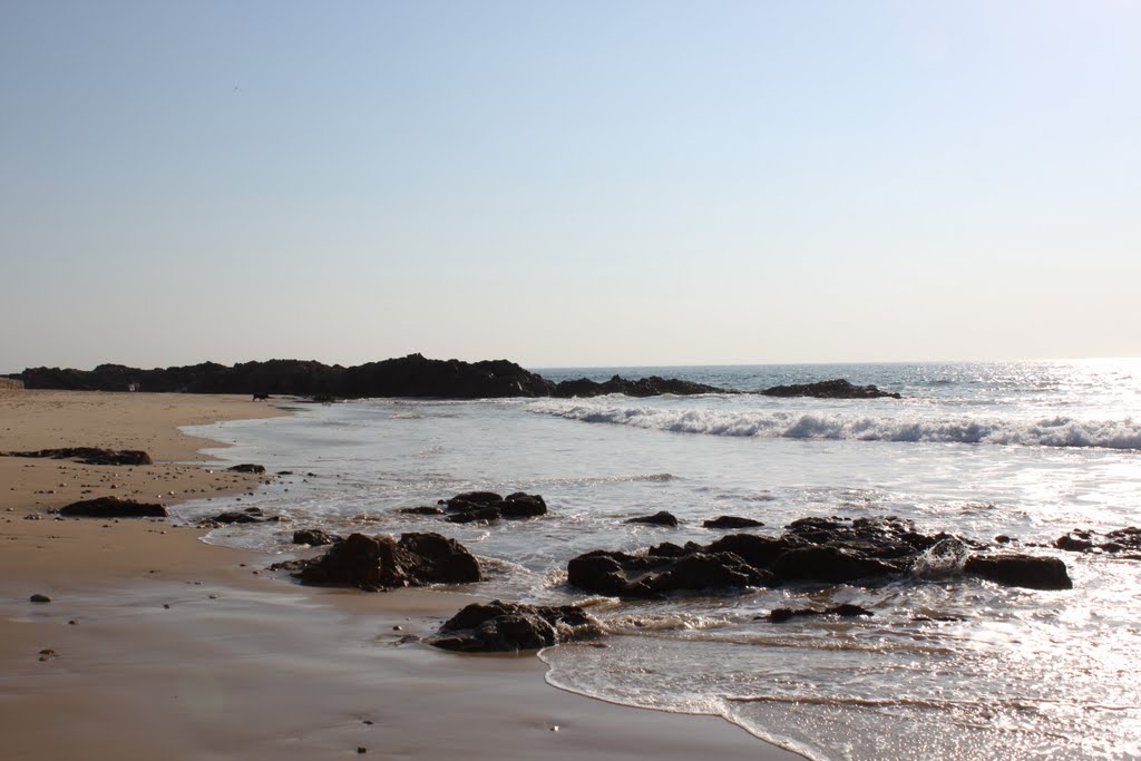 Shoreline-Port.Elizabeth.S.Africa by Susan Shalabi Molano