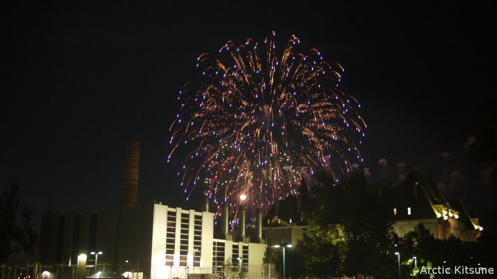 Canada Day Fireworks 2010 by EuroSubstance