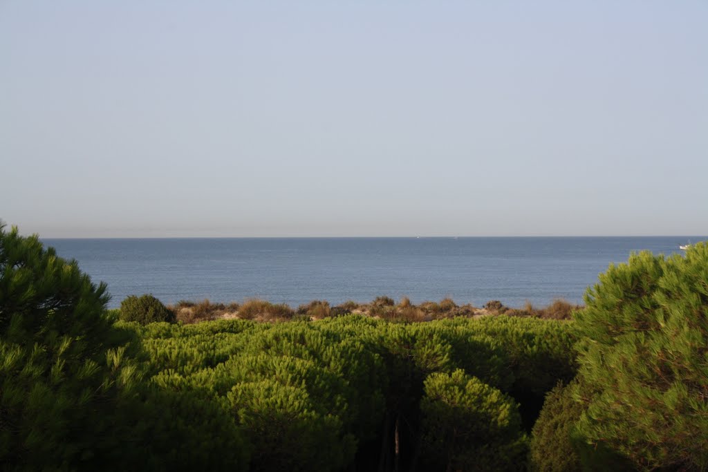 Parque natural de los Enebrales, Punta Umbría by fvg-toledo