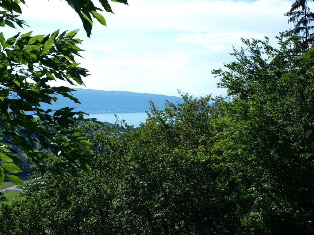 Lac d'Annecy by Wim Constant