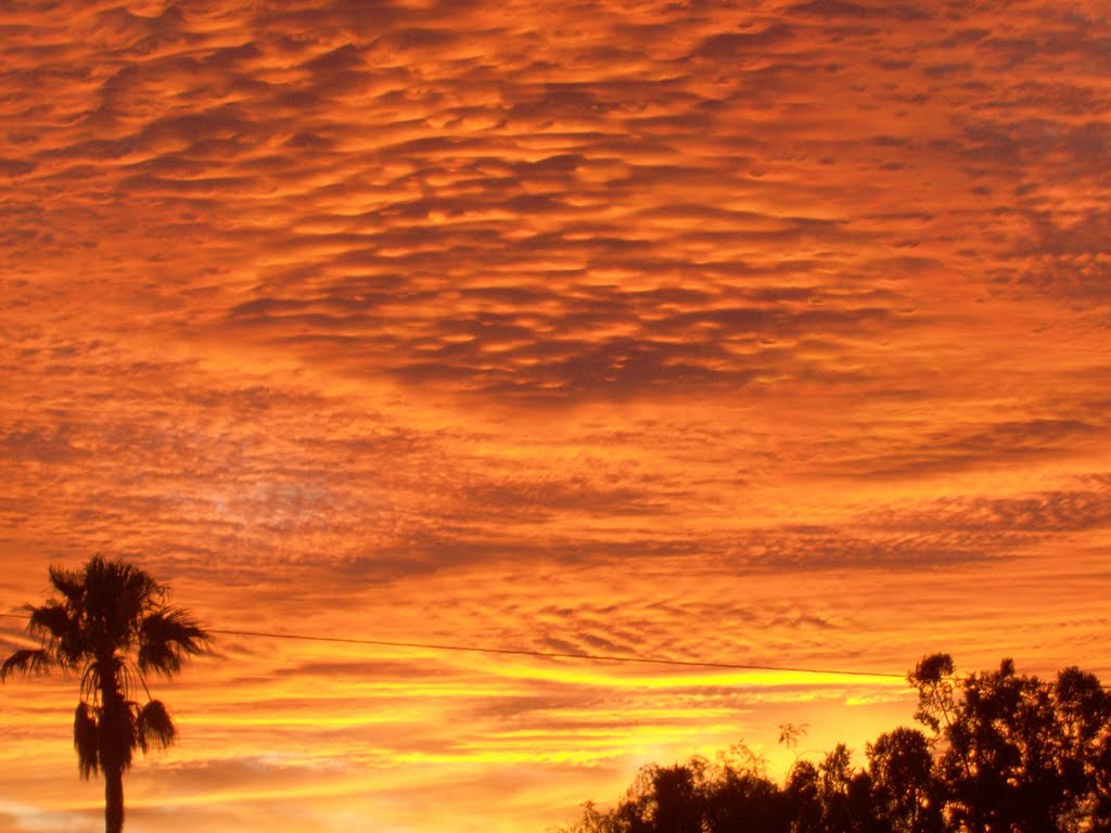 SUNSET IN TUCSON by claudia112perez