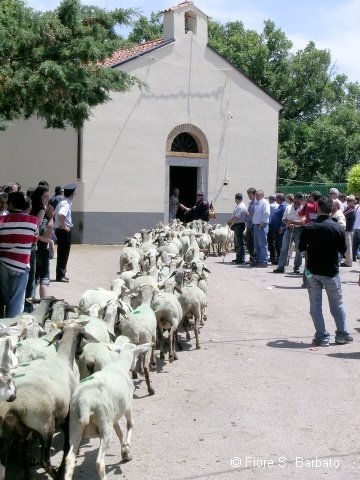 Ricigliano (SA), La "turniata" di San Vito 2007. by Fiore Silvestro Barb…