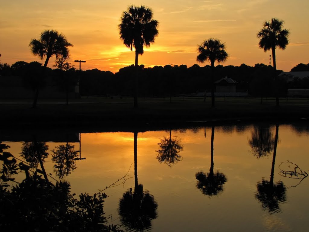 Beautiful Sunset with Reflection - Night Heron Villas (Hilton Head Island, SC) by Kalin Ranchev