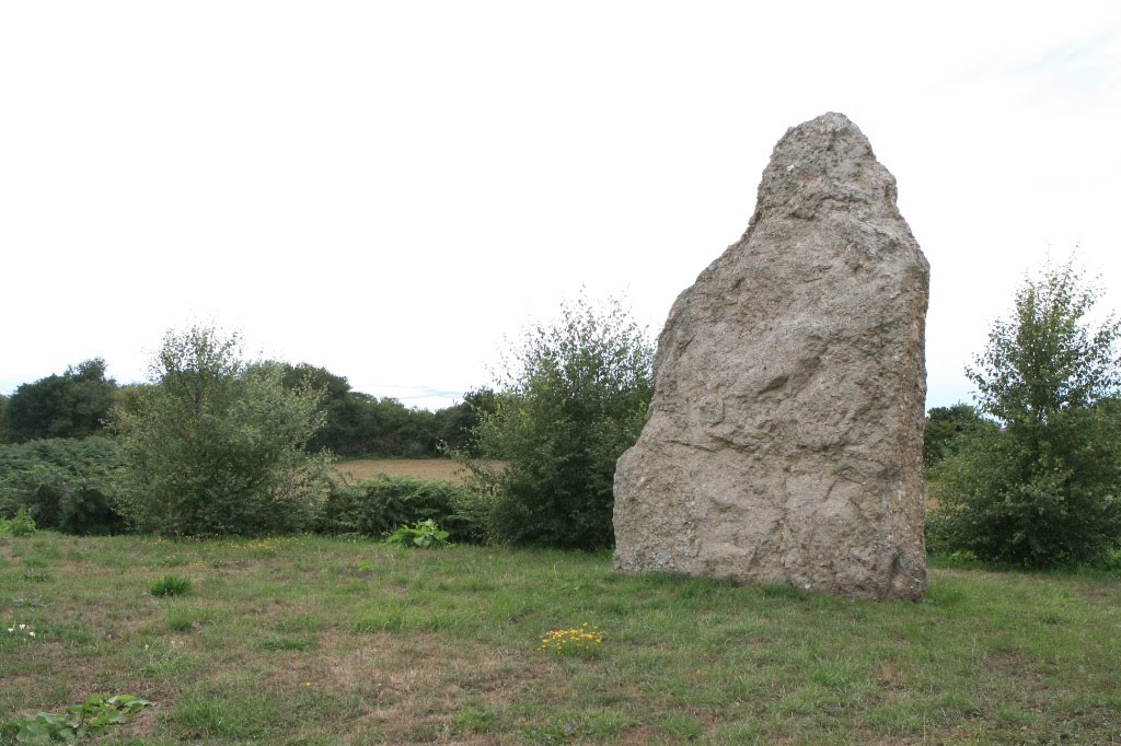 LE MENHIR DIT DE LA GRANDE PIERRE A MAUPERTUS SUR MER by Frédéric Adant