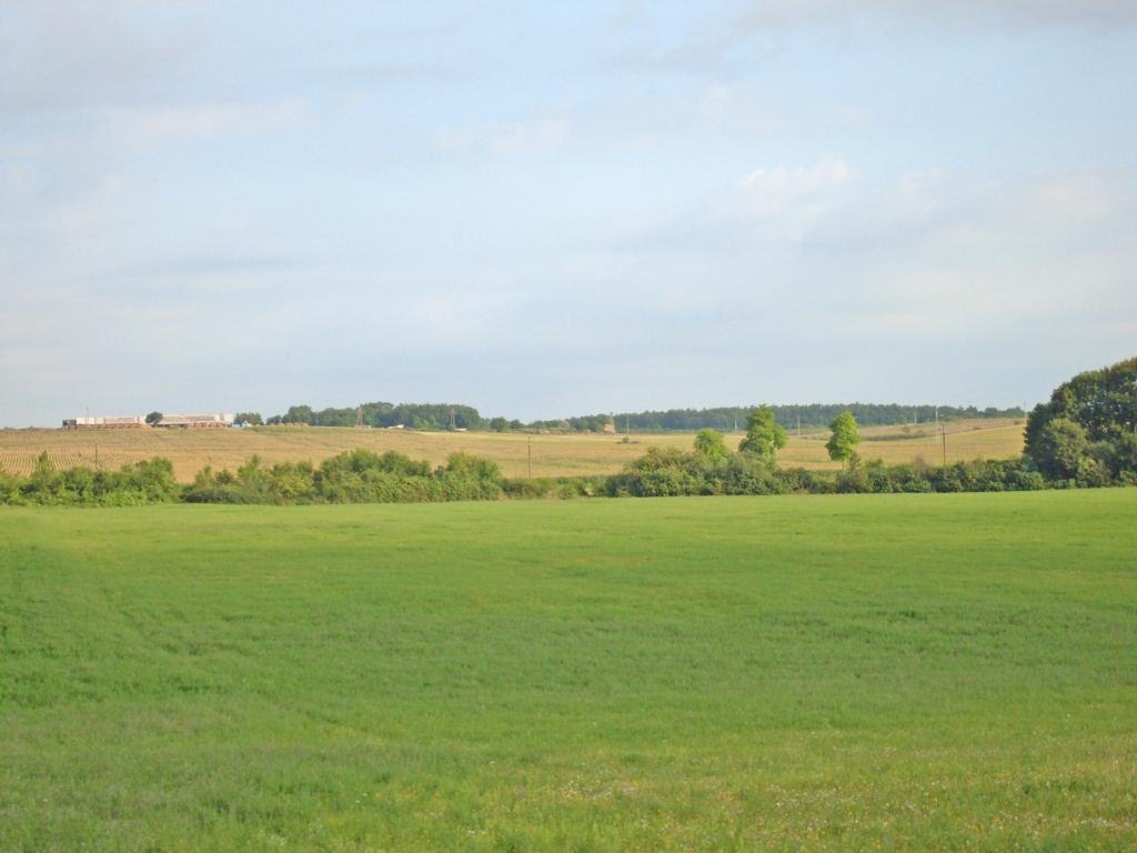 Szentkirályszabadja határában by mzee.