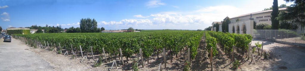 Vignes Pichon Longueville Comtesse de Lalande by mfe