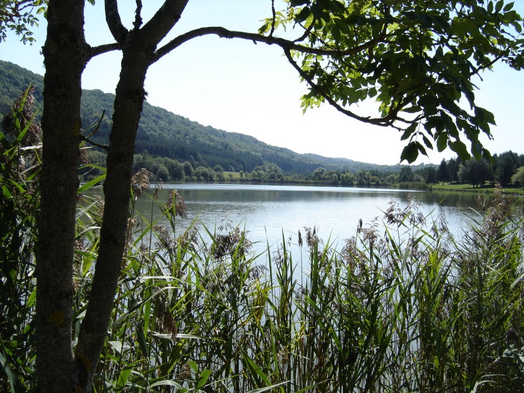 Etang de L'HEUTE by Michel M