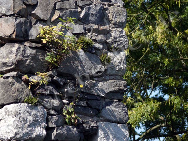 Ruine Löwenburg Mauerdetail by -=CMB=-