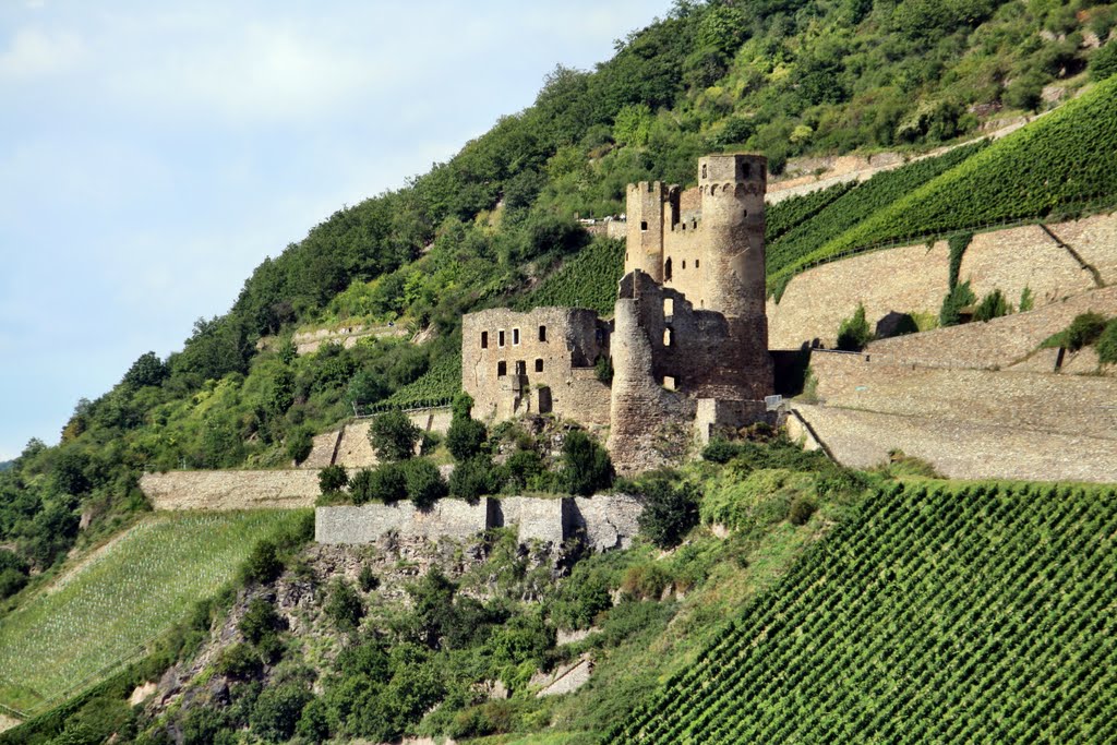 Burgruine Ehrenfels by oller rainer