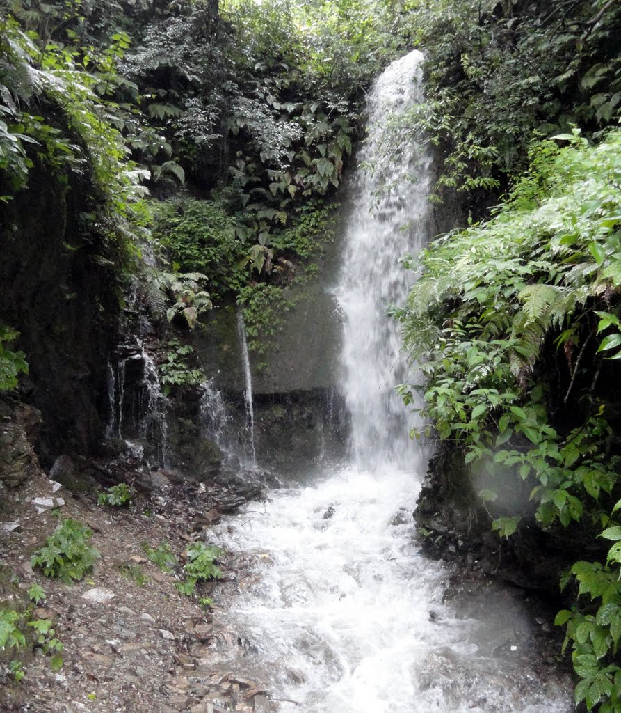 Natural spring. by नवीन जोशी