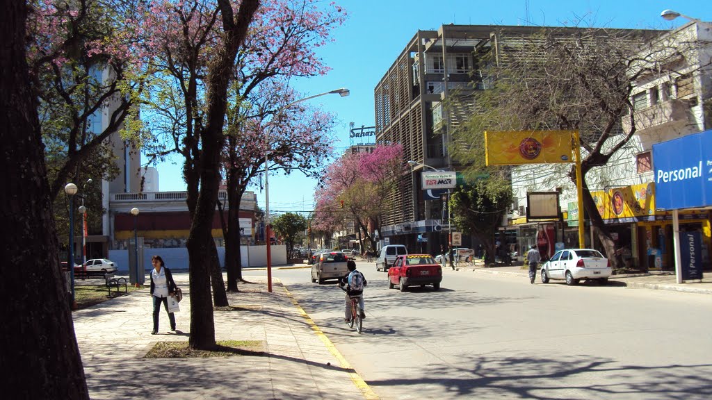 Nacimiento de calle Gral. Güemes. Lapachos florecidos by Arturo Aeberhard