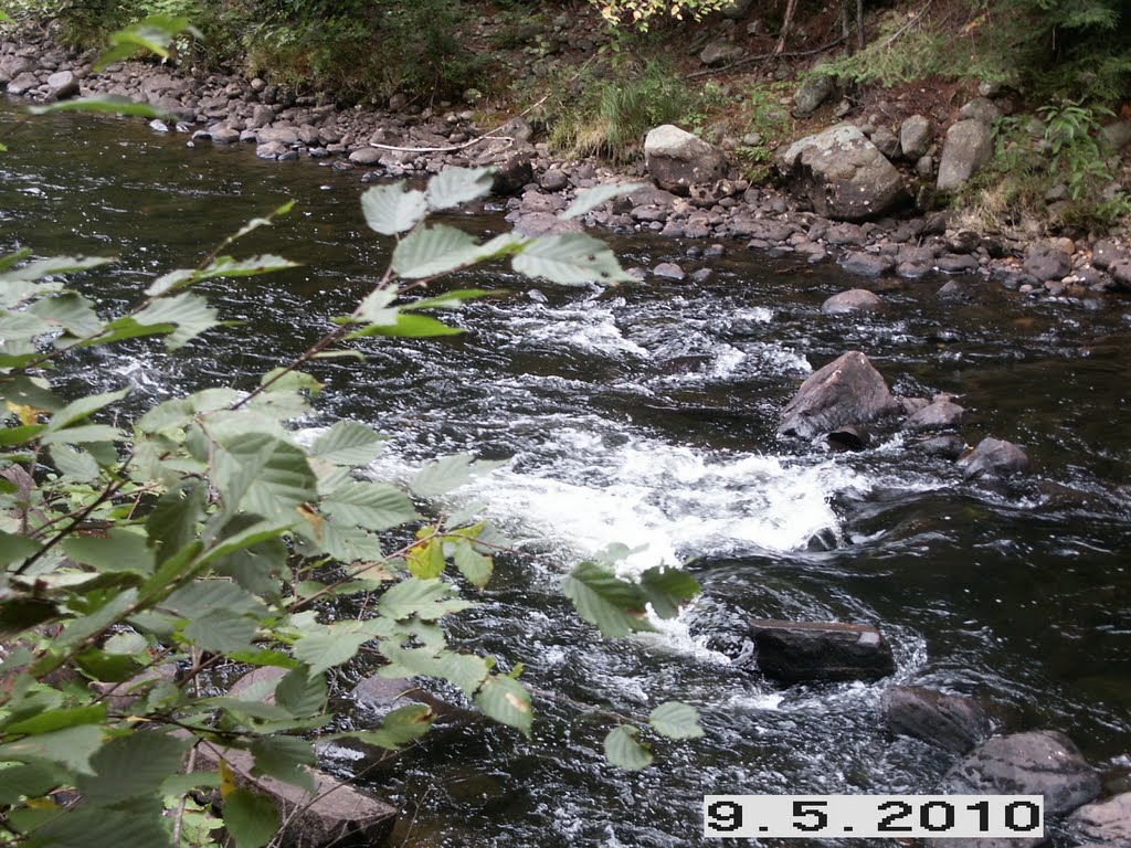 Whiskey rapids hiking trail, algonquin park by robxlori