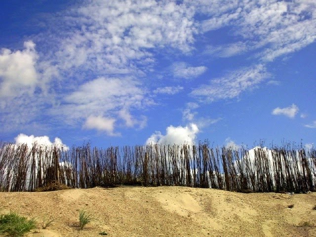 Nederland Hollande Netherlands : Walcheren : Westduin Vlissingen ** dunes by tinawaldo