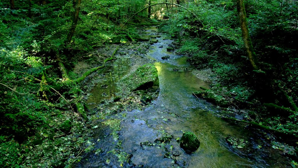 Wieslauf: Blick flussabwärts by Lukas Rieger