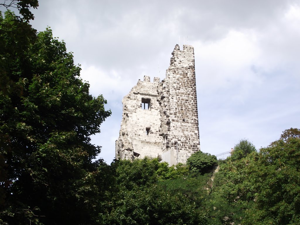 Burg Drachenfels by cirkewwahase