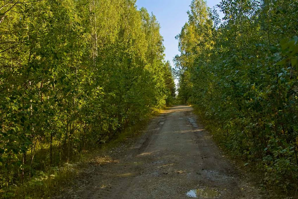 A gravel rioad to a quarry by alex.senokosov