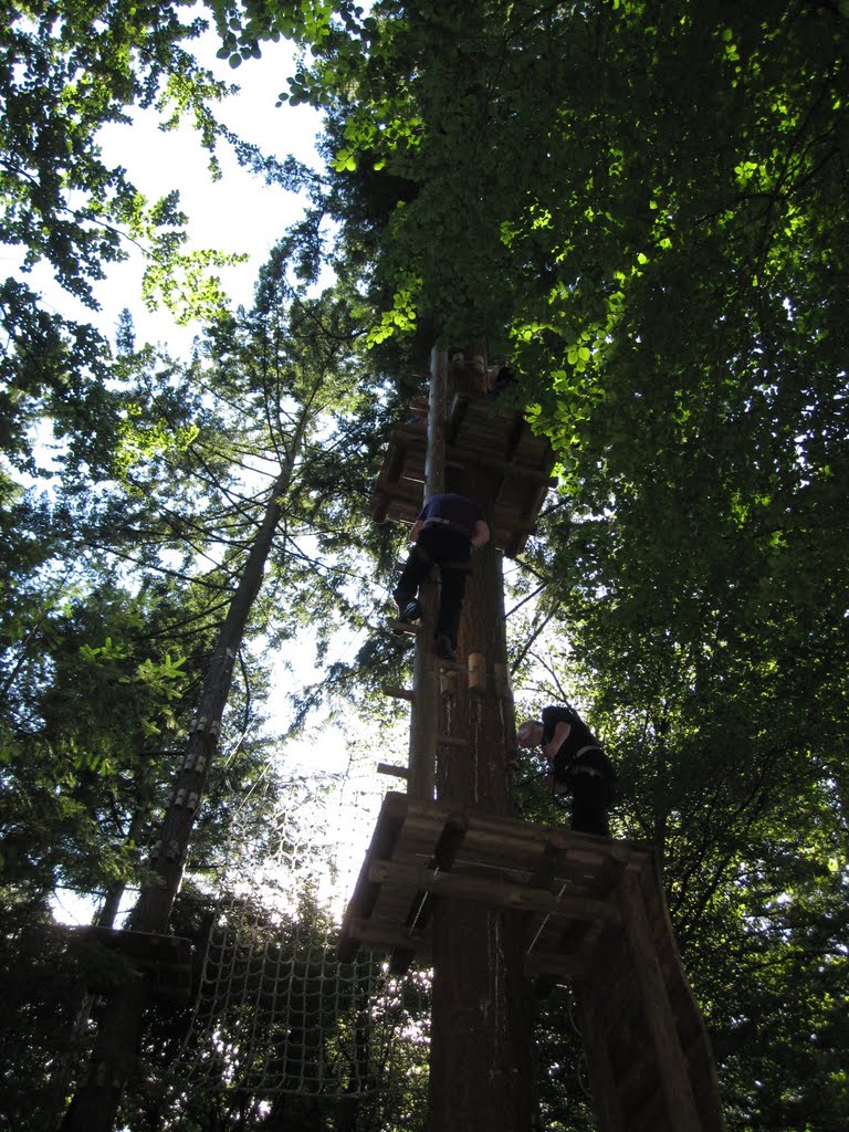 Veluwe Klimbos 5 september 2010 "Climbing forrest park" by Aad (A.F.) Huf