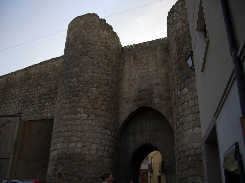 Puerta de Herreros - Almazán - Soria by luthier xequebo