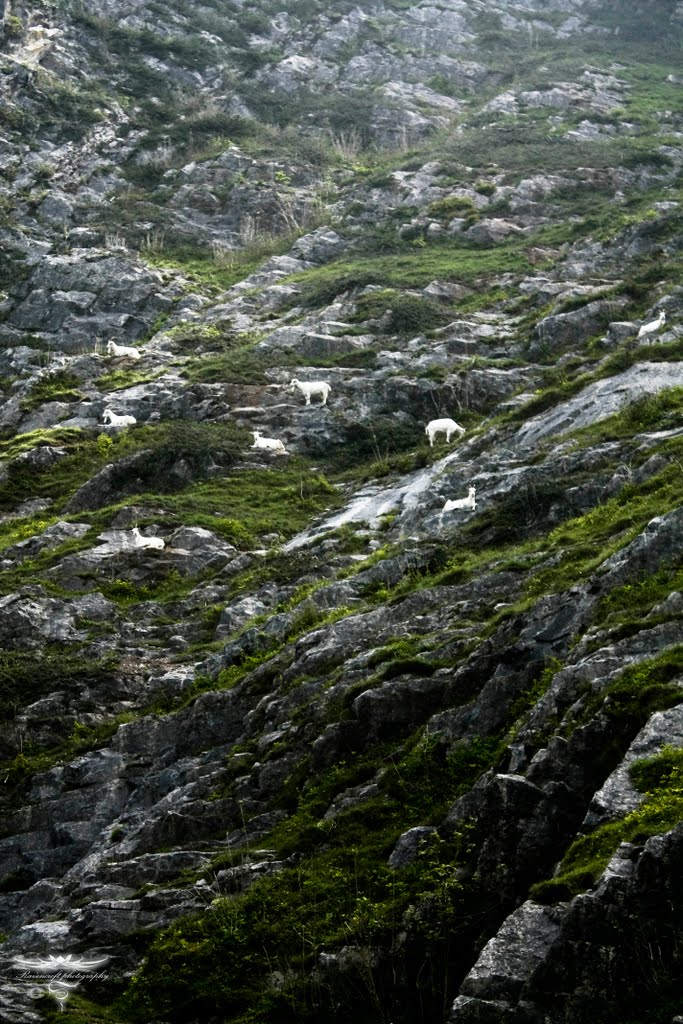 The Come, Mendips by jason kirby ravencroftphotography