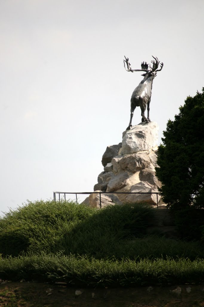 Newfoundland Regiment Memorial, Beaumont-Hamel Newfoundland Memorial Park, Beaumont-Hamel, Somme, Picardie, France by Hans Sterkendries