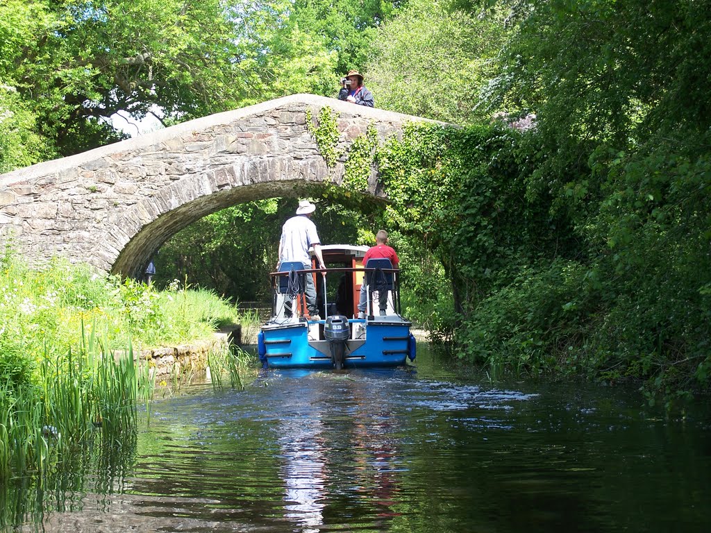 Ashtree bridge by mon&brec1984