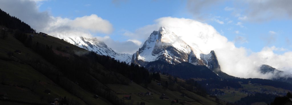 20070114: ohne Schnee im Toggenburg by Beat Ballat