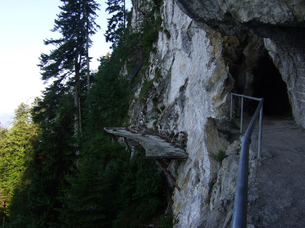 Fragment des alten Felsenwegs, Bürgenstock by lukas.haefliger