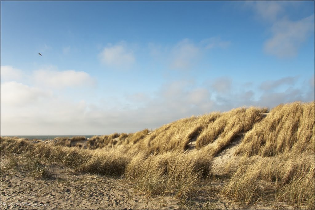 Dunes, Terschelling, The Netherlands by Wim Janssen