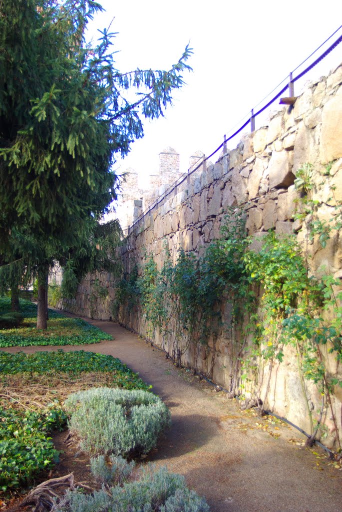 ® AVILA PARADOR NACIONAL RAIMUNDO DE BORGOÑA JARDIN by Concepcion AMAT ORTA…