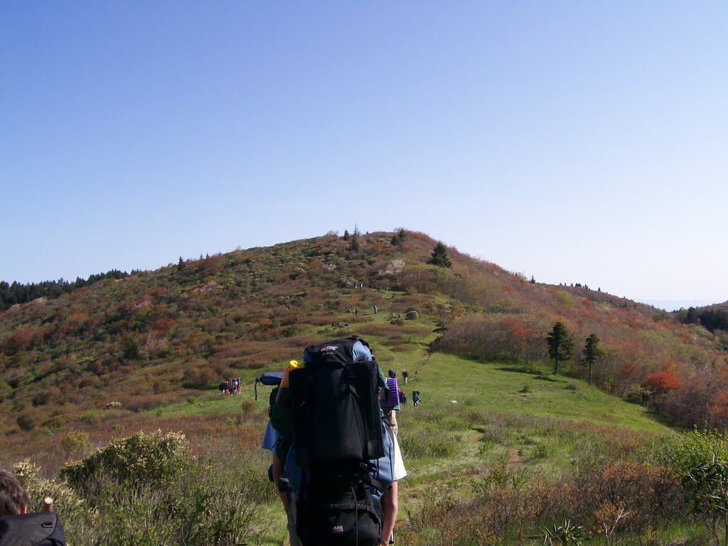 Shining Rock Wilderness by mwsbrower