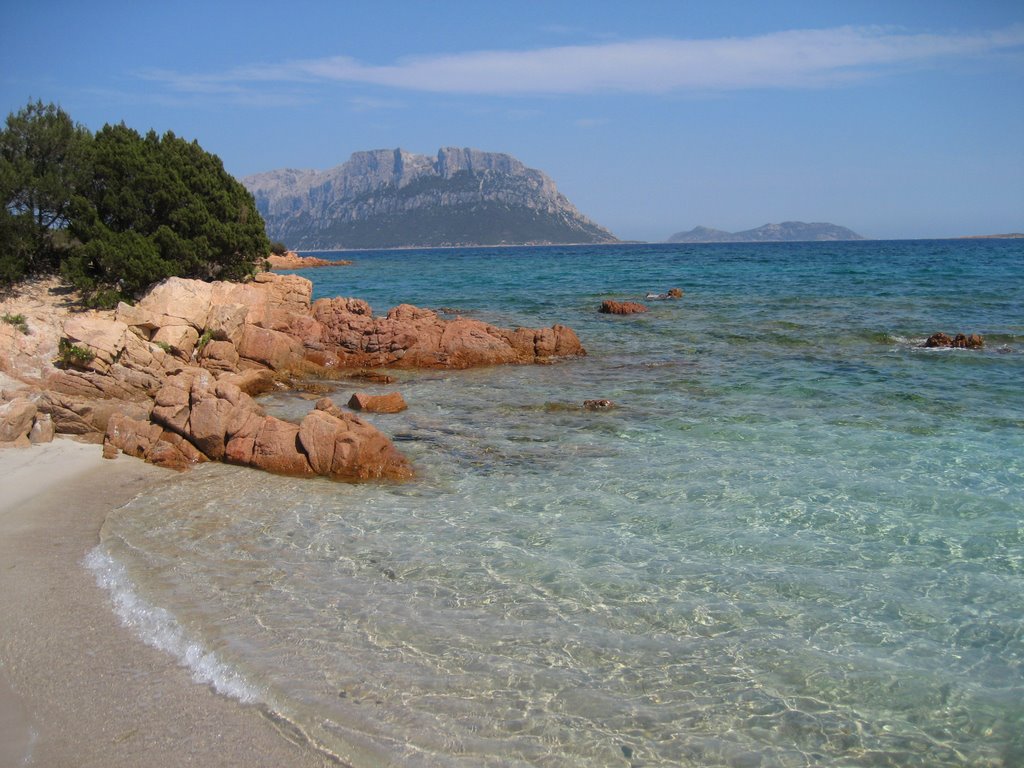 Wonderful beach in front of Tavolara Island by Nick1986AL