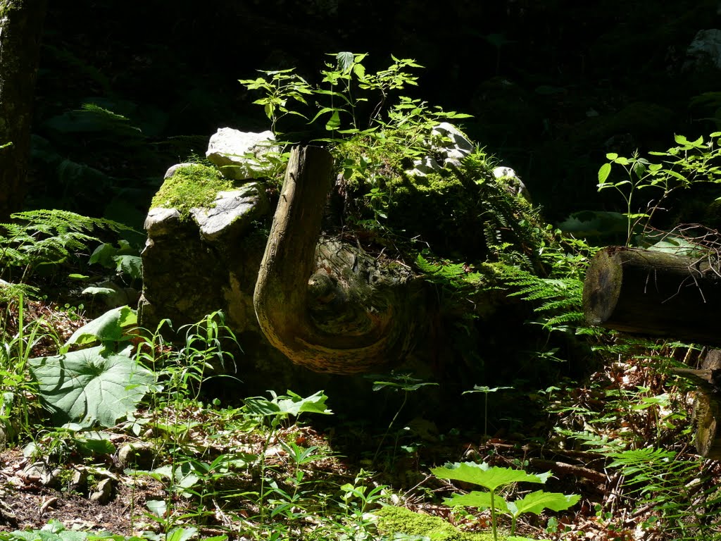 Unterwössen, Germany by K.Herr