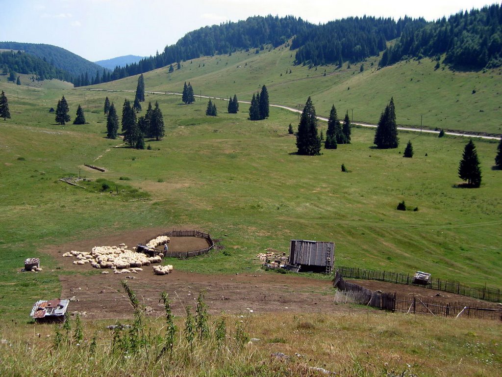 Der Weg nach Padis by Gösta Pfannstiel