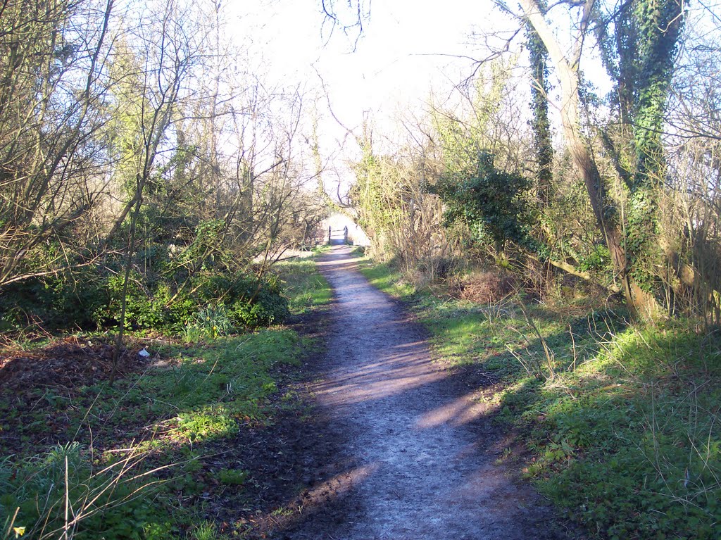 The footpath, outside the Bush Inn by Robert'sGoogleEarthP…