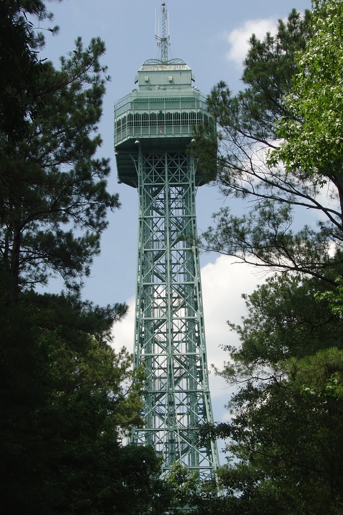 2010 - Eiffle Tower by Dean Sylvester