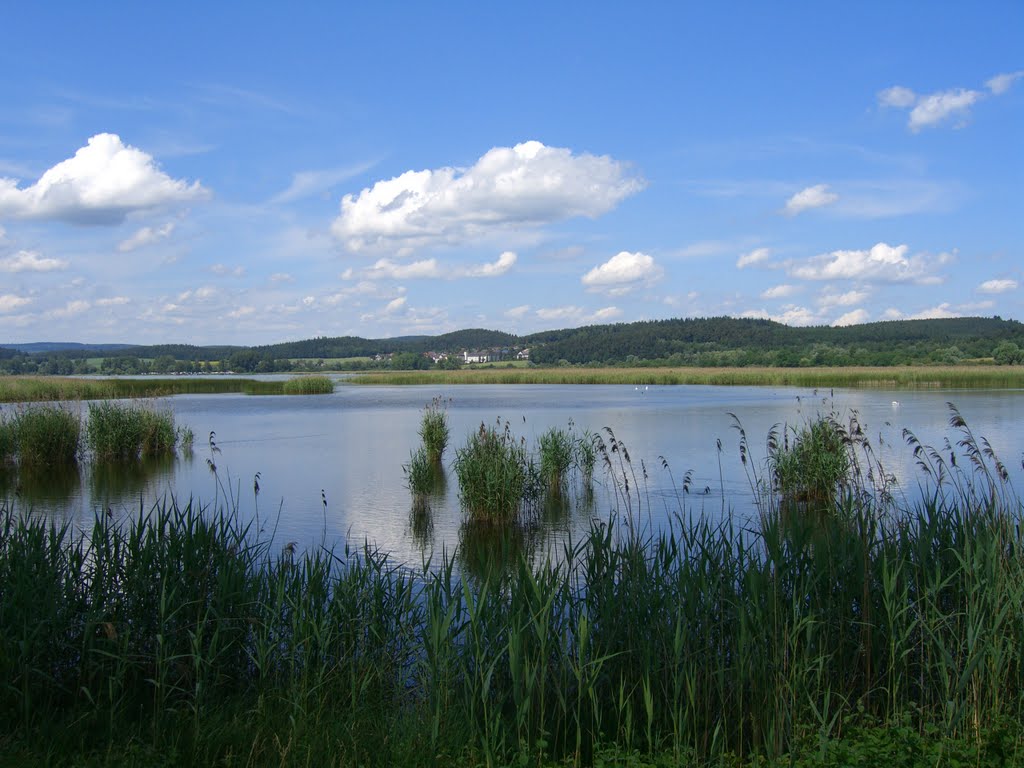 Insel Reichenau, Blick nach Hegne by cocoduu