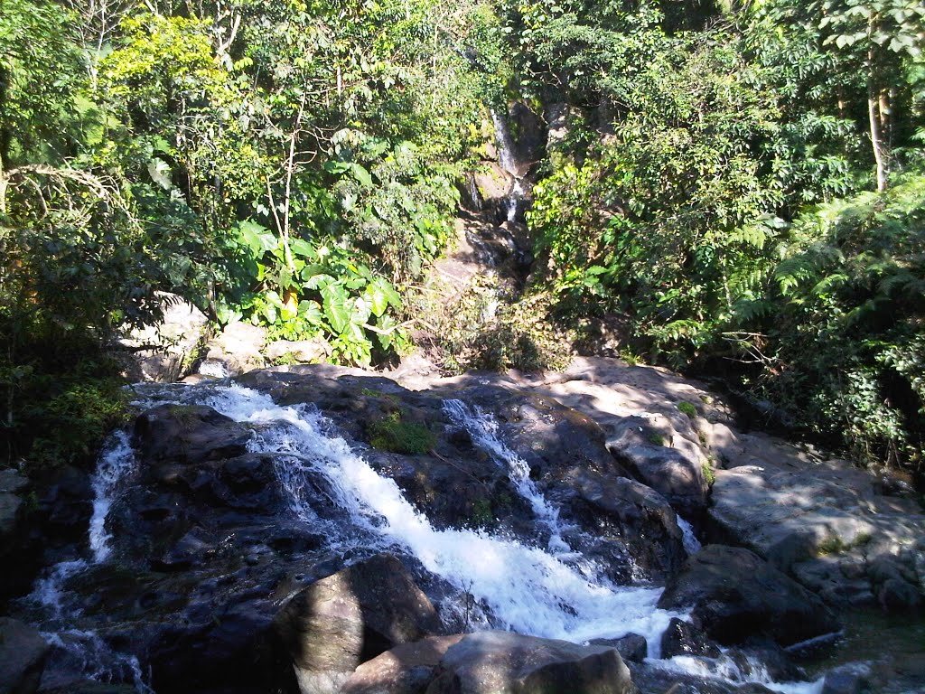 Río Blanco, Naguabo, Puerto Rico by Elias Santiago