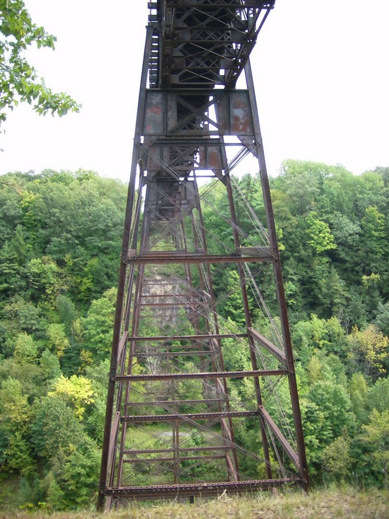 Railroad bridge from the Gorge Trail (#1), Letchworth State Park, NY (Sept '10) by winterdude87