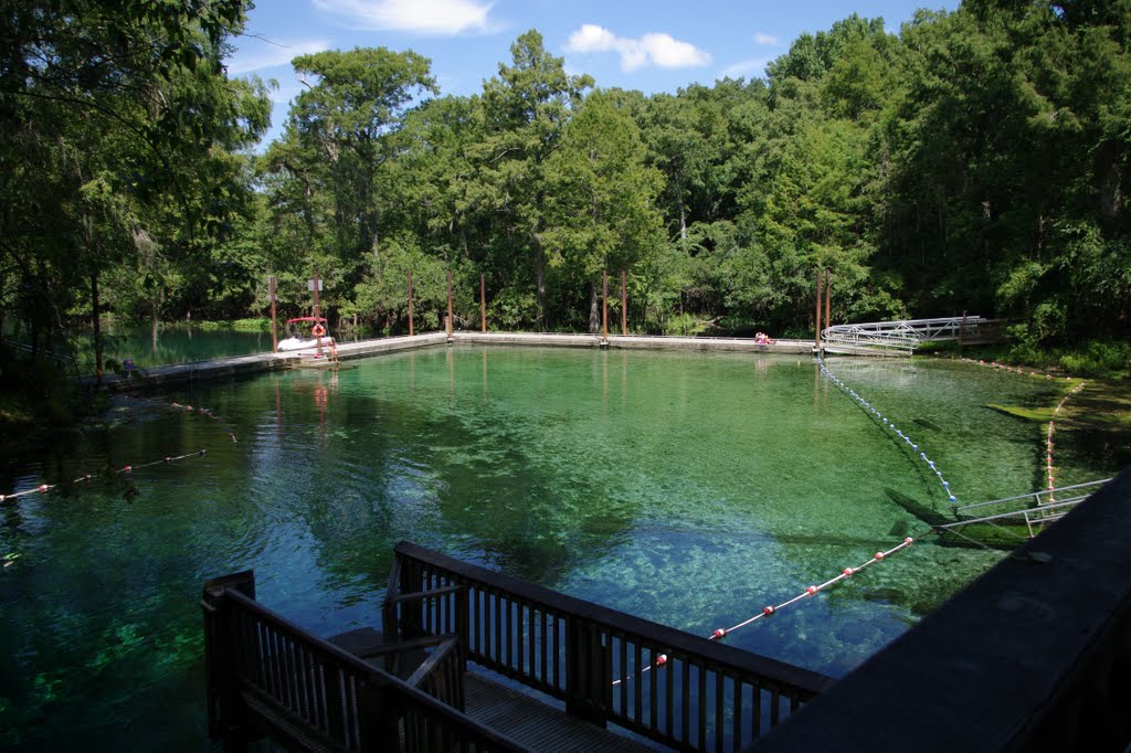 Fanning Springs State Park by Rod Hilner