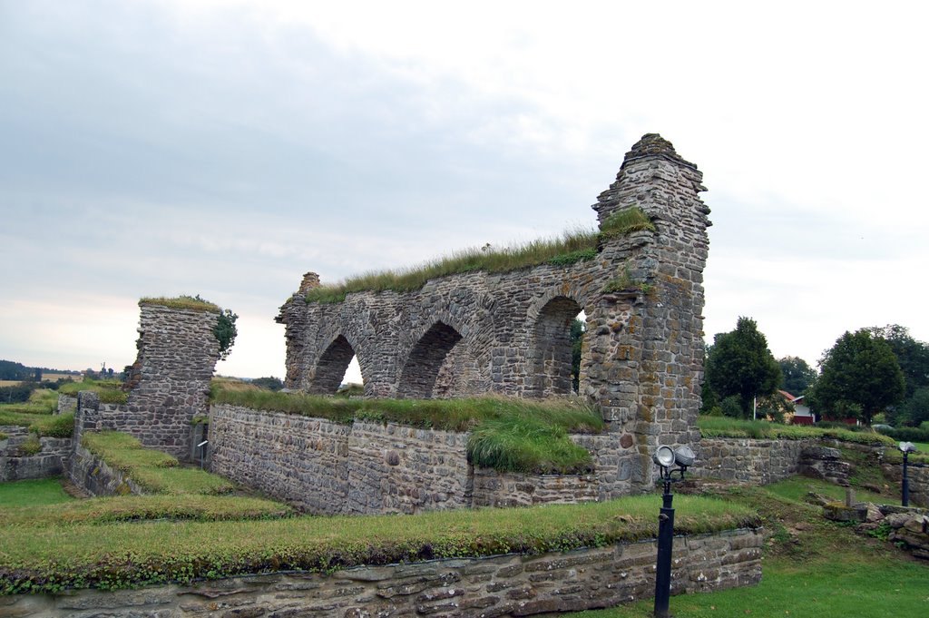 Gudhems klosterruin by Peter Gustafson