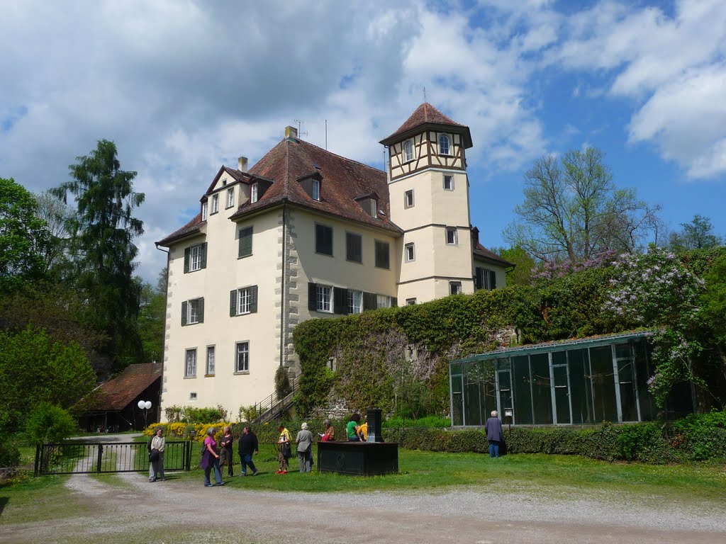 Schloss Möggingen by hp wickert